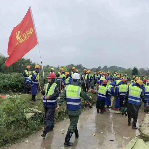 合肥市新港路属于哪个区