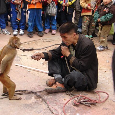 成都市国粹火锅地址查询的长尾关键词有什么