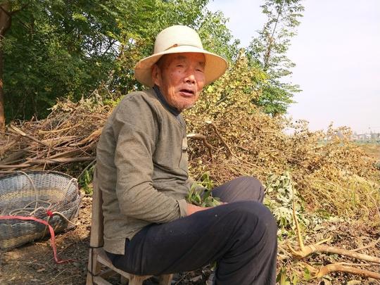 农村的老人还在田间干活，是为了赚钱吗？真正了解的人才知道