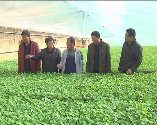 不一定进城打工才能挣钱，这些项目足够你在农村干出一番事业
