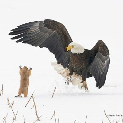生肖猴农历8月爱情运势(属猴人2021年农历8月的桃花运)