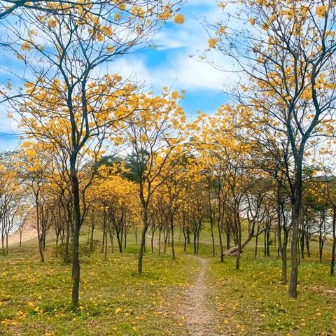 东莞市松江湖区属于哪里