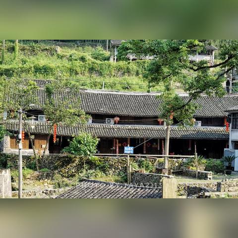 温州市权威古董收购公司的长尾关键词有什么