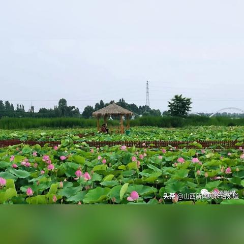 邯郸市沁河区荷塘镇的长尾关键词有哪些