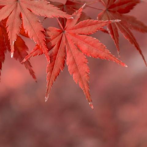 桂林市最美城市是哪里的