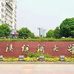 武汉的大学在武汉的分布？