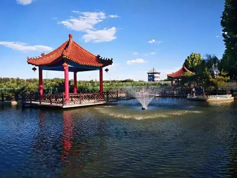 房车可以做什么美食（看到网上很多人开房车旅游）