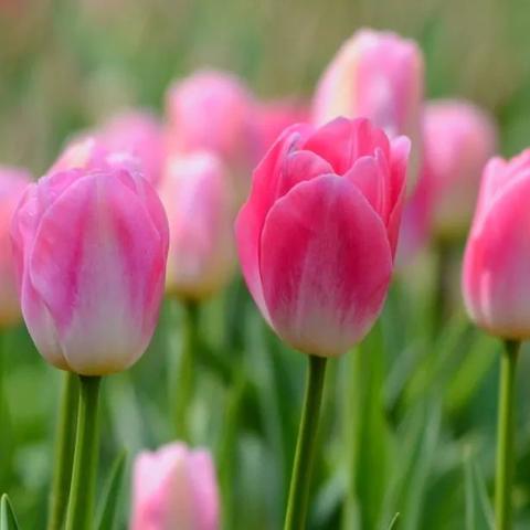 广西桂林市林业局在哪里