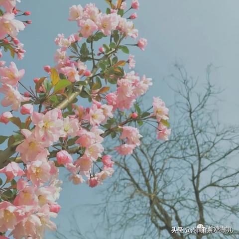 【长沙未来30天天气预报】长沙未来一个月天气情况查询
