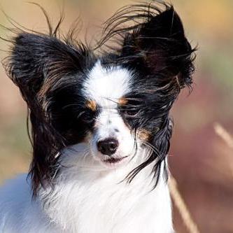 天津斑秃去天津哪个医院