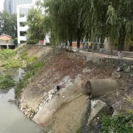 合肥市有什么地方可以钓鱼
