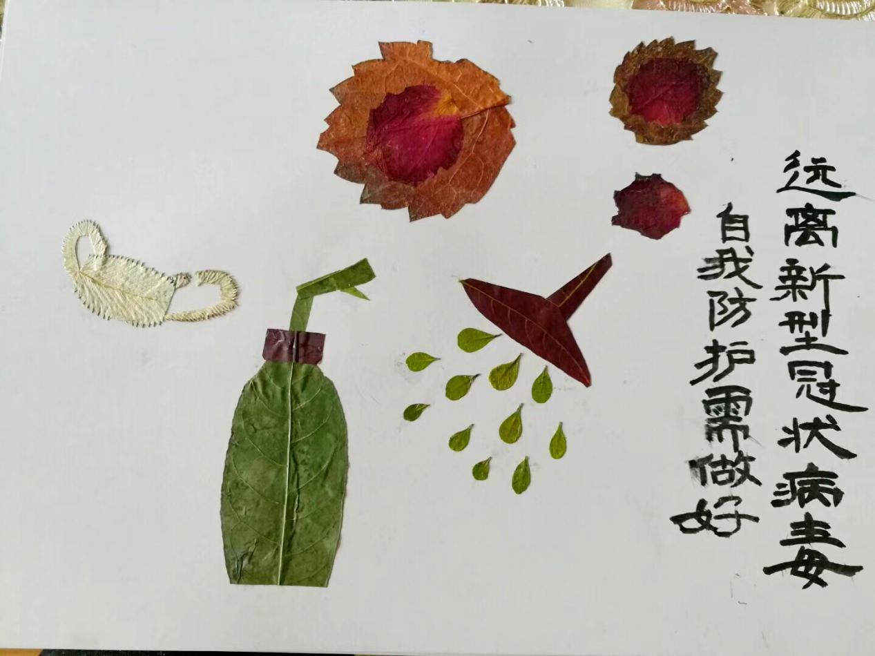 鼠宝宝姓叶怎么起名(仓鼠能吃地瓜秧么)