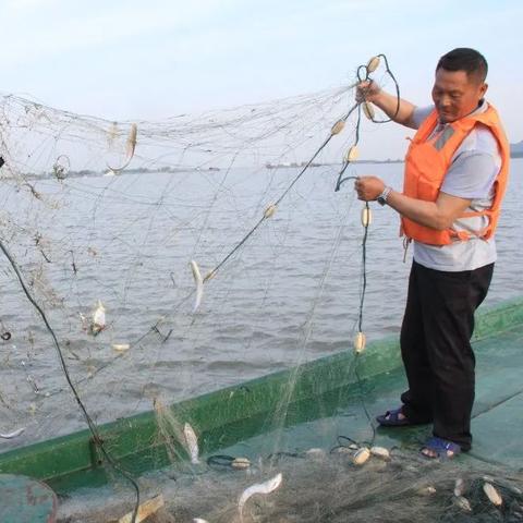 无锡市刀鱼面馆在哪里啊