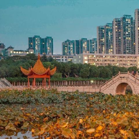 长沙市北冲尾是哪个街道