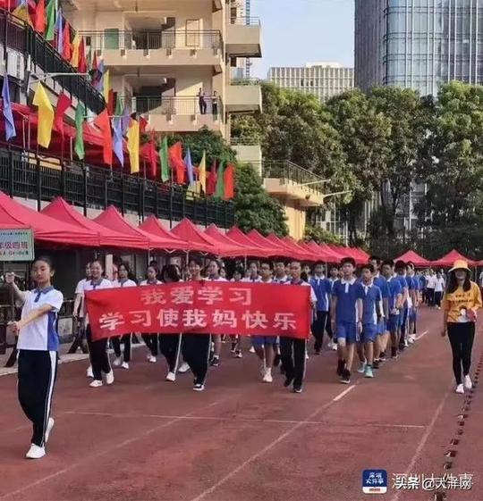 学习使我妈快乐！深圳一校运会口号火遍全网，网友：真是大实话