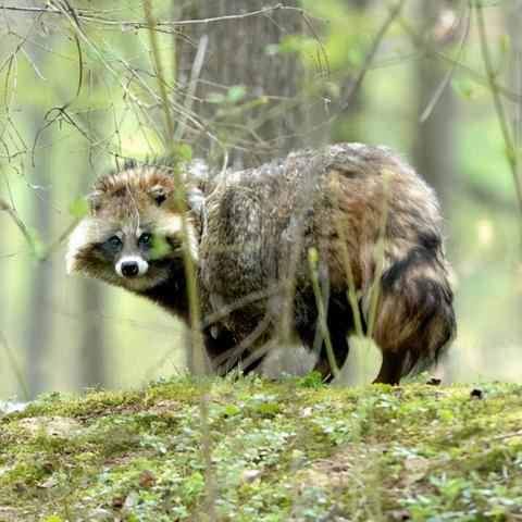 武汉最大的小区排行榜？