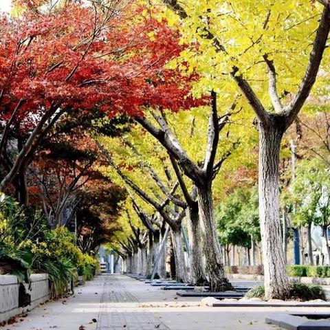 苏州南门汽车客运站至常熟市南站的长尾关键词有哪些