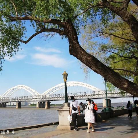 哈尔滨市都有什么公园