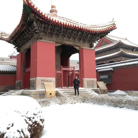 沈阳市的故宫在哪个区