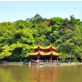 长沙市区是哪个区的
