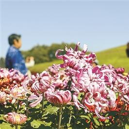 七天连锁酒店沈阳相关长尾关键词有哪些