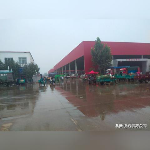 邯郸市蔬菜厂的长尾关键词有什么