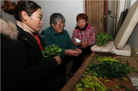 闫利霞：拿5万返乡创业，从5人作坊到畅销海外，致富不能忘乡亲