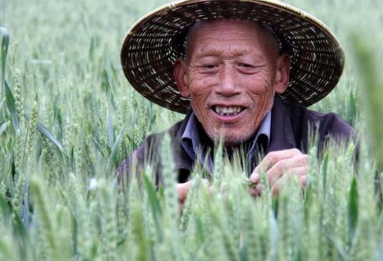 姓王的金牛宝宝怎么起名(明英烈人物排名)