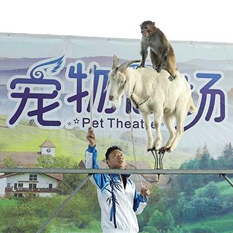 长沙最火的游乐景点？