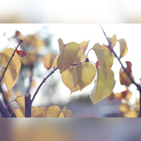 兰州保利中心投诉电话的相关长尾关键词有哪些