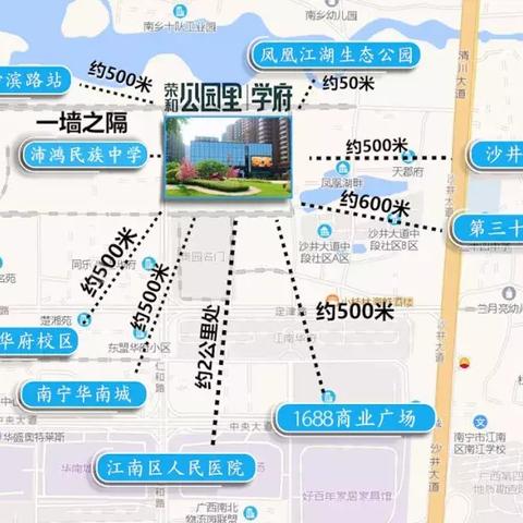 南宁市十中是哪个学区的