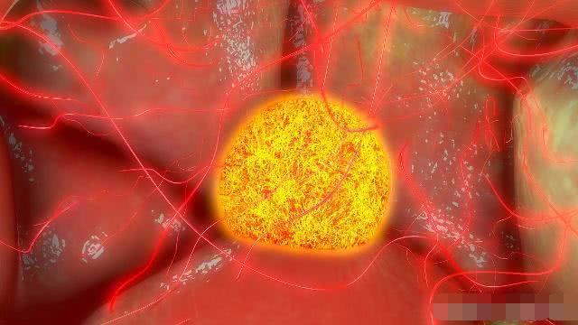 卵泡一般什么时候开始发育