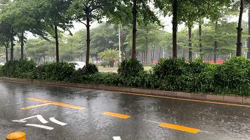 深圳美食中午吃什么（梅州没有白天飞深圳航班吗）