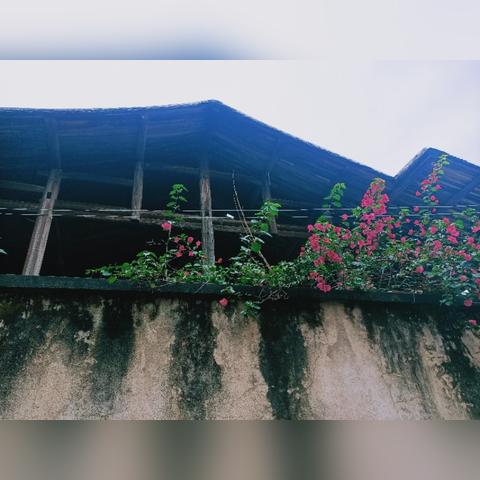 福建哪个古镇