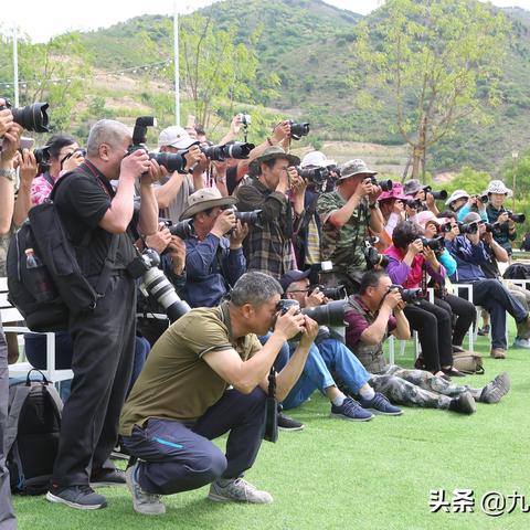 济南泉城公园和森林公园谁大？