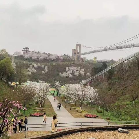 浔龙河长沙市的什么位置