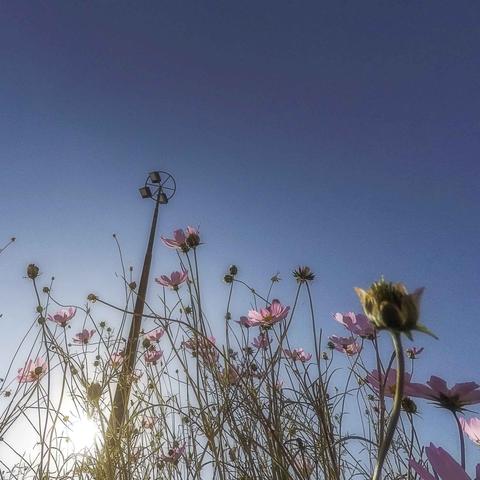 锡林浩特到哈尔滨飞机相关长尾关键词有哪些