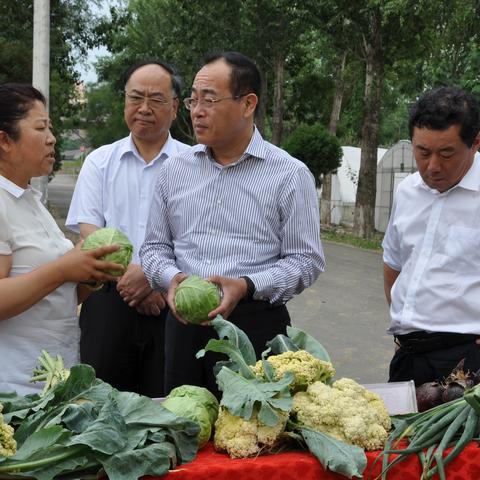 大连市炮台镇属于哪个区