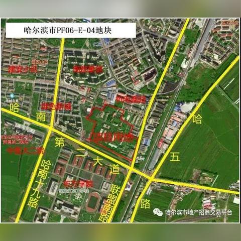 哈尔滨市区是哪个区？