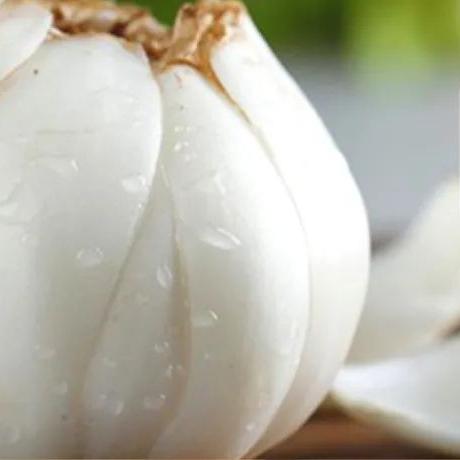 伊宁到兰州飞机票的相关长尾关键词有哪些