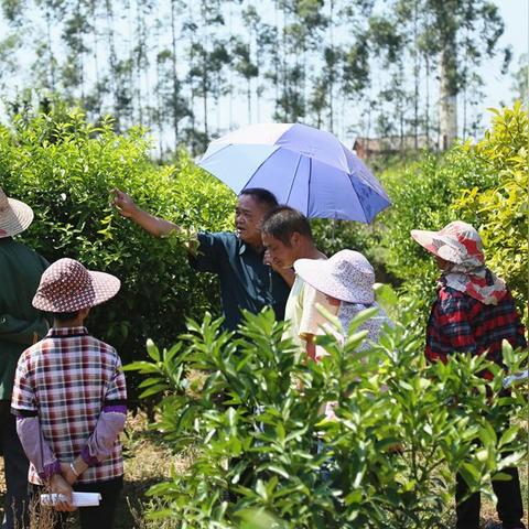 在南宁市找份工作怎么找