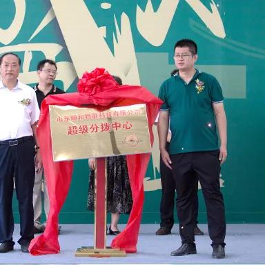 临沂顺和集团做什么的的长尾关键词是什么