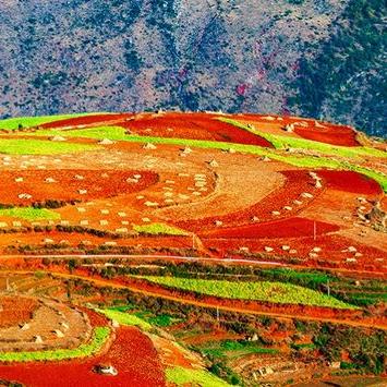 昆明市氧化剂销售公司的长尾关键词有什么