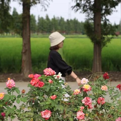 苏州常熟公墓什么时候开放