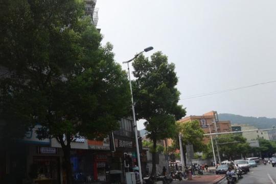 长沙一“热闹”城中村，紧邻学区，村民靠大学生发家致富