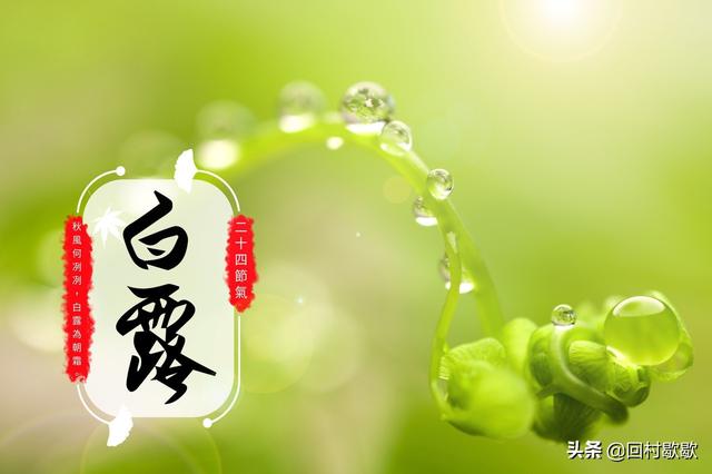 2019今日白露发朋友圈说说