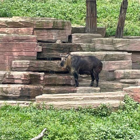 沈阳动物园在哪相关长尾关键词有哪些
