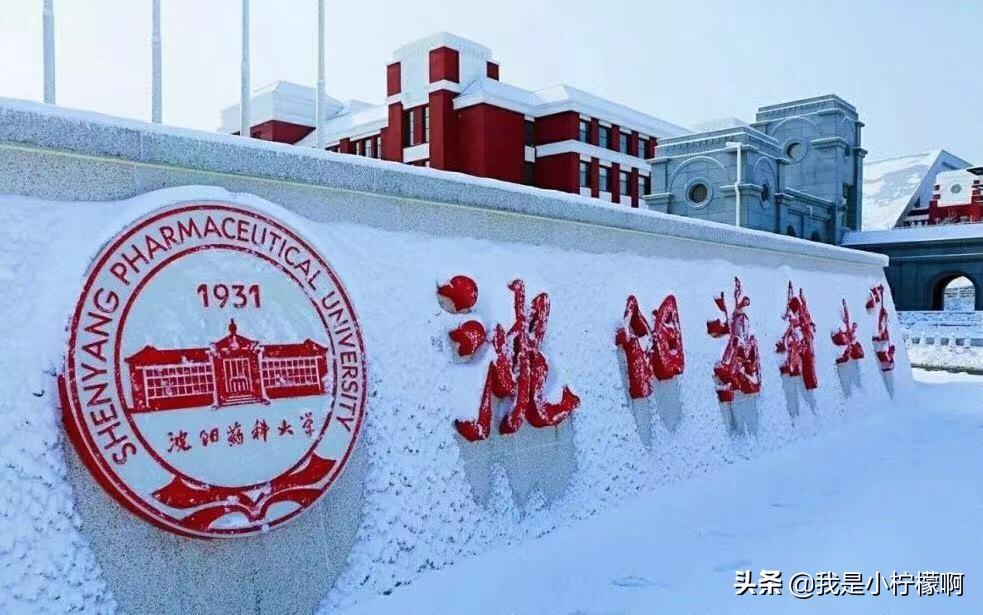 沈阳中学实力榜：三大名校领跑，谁是你心仪学府？