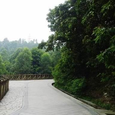 深圳市骑行公司怎么样