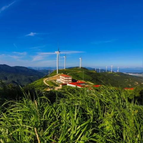 宁波市哪个山出名的多